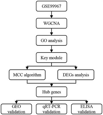 Identification and Validation of IFI44 as Key Biomarker in Lupus Nephritis